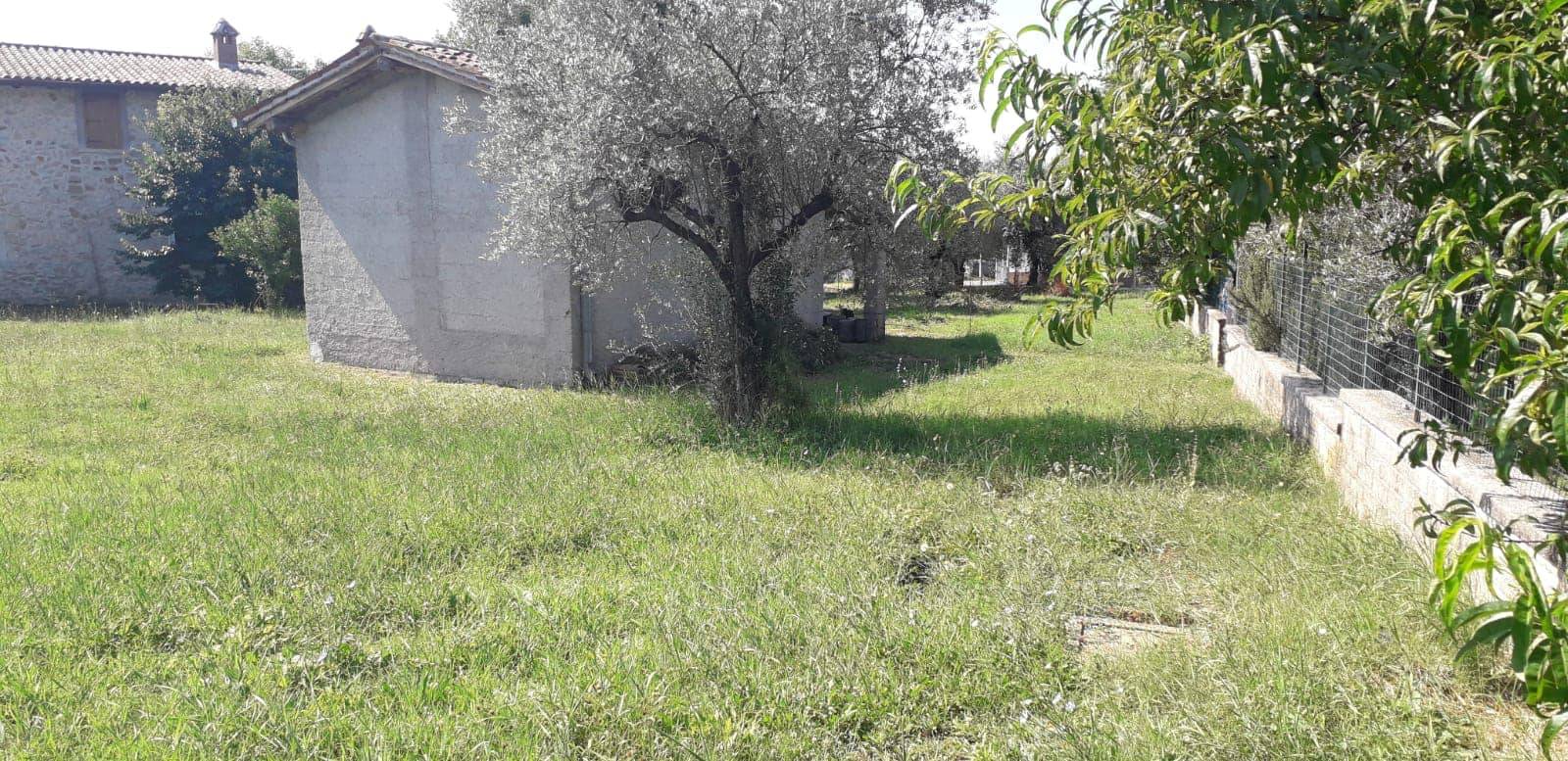 Rustico - Cascina ALATRI vendita    OK Casaimmobiliare di Paolo Simone