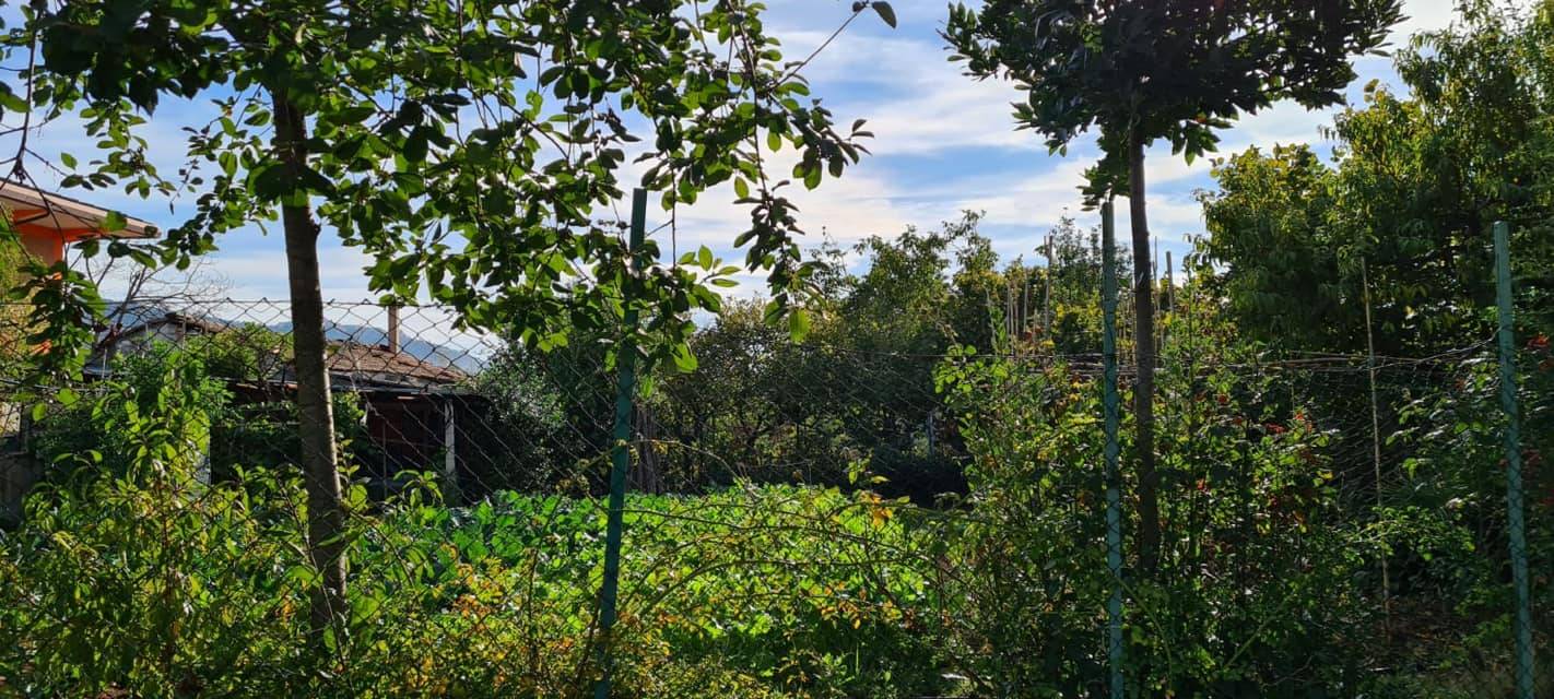 Rustico - Cascina ALATRI vendita    OK Casaimmobiliare di Paolo Simone