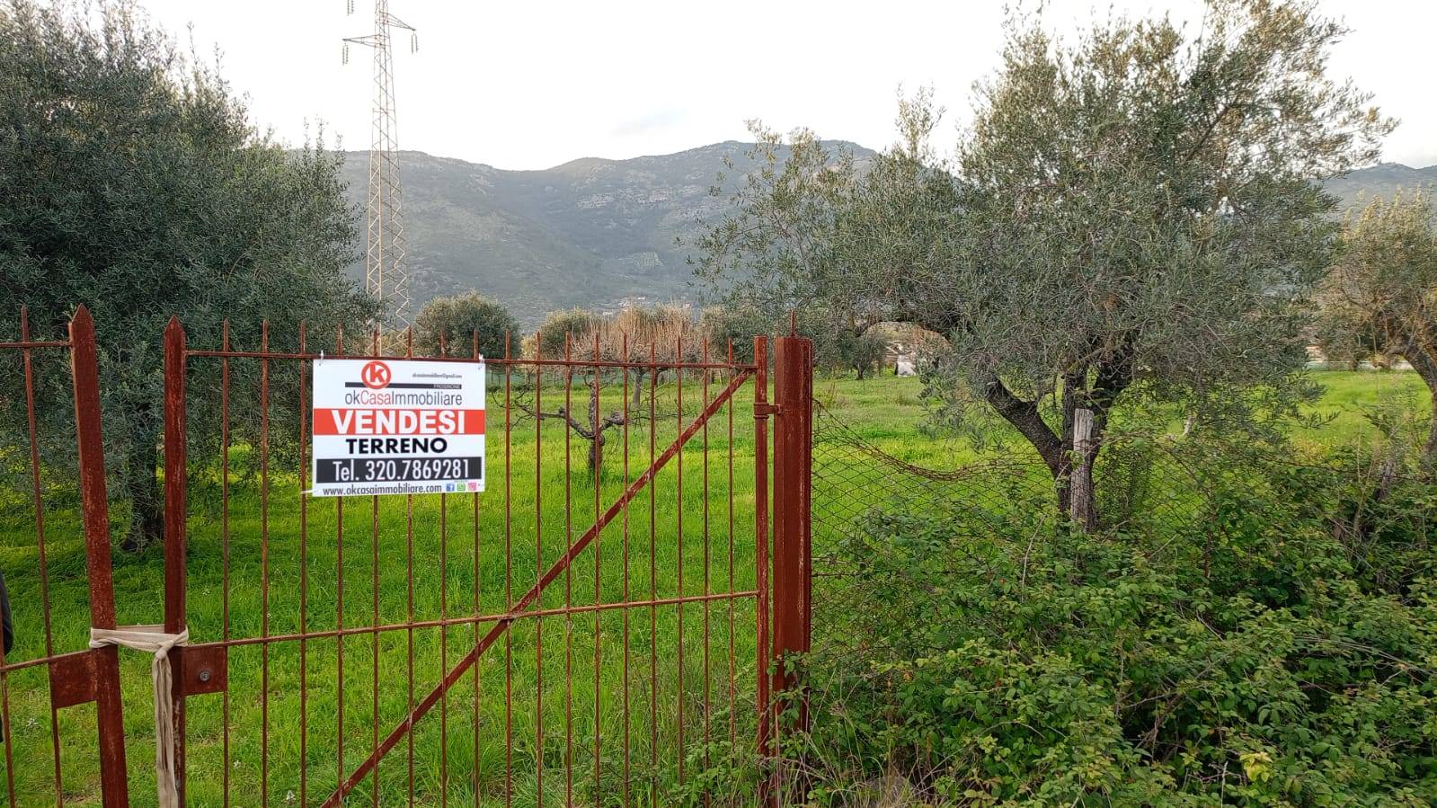 Terreno agricolo in vendita a Terracina (LT)