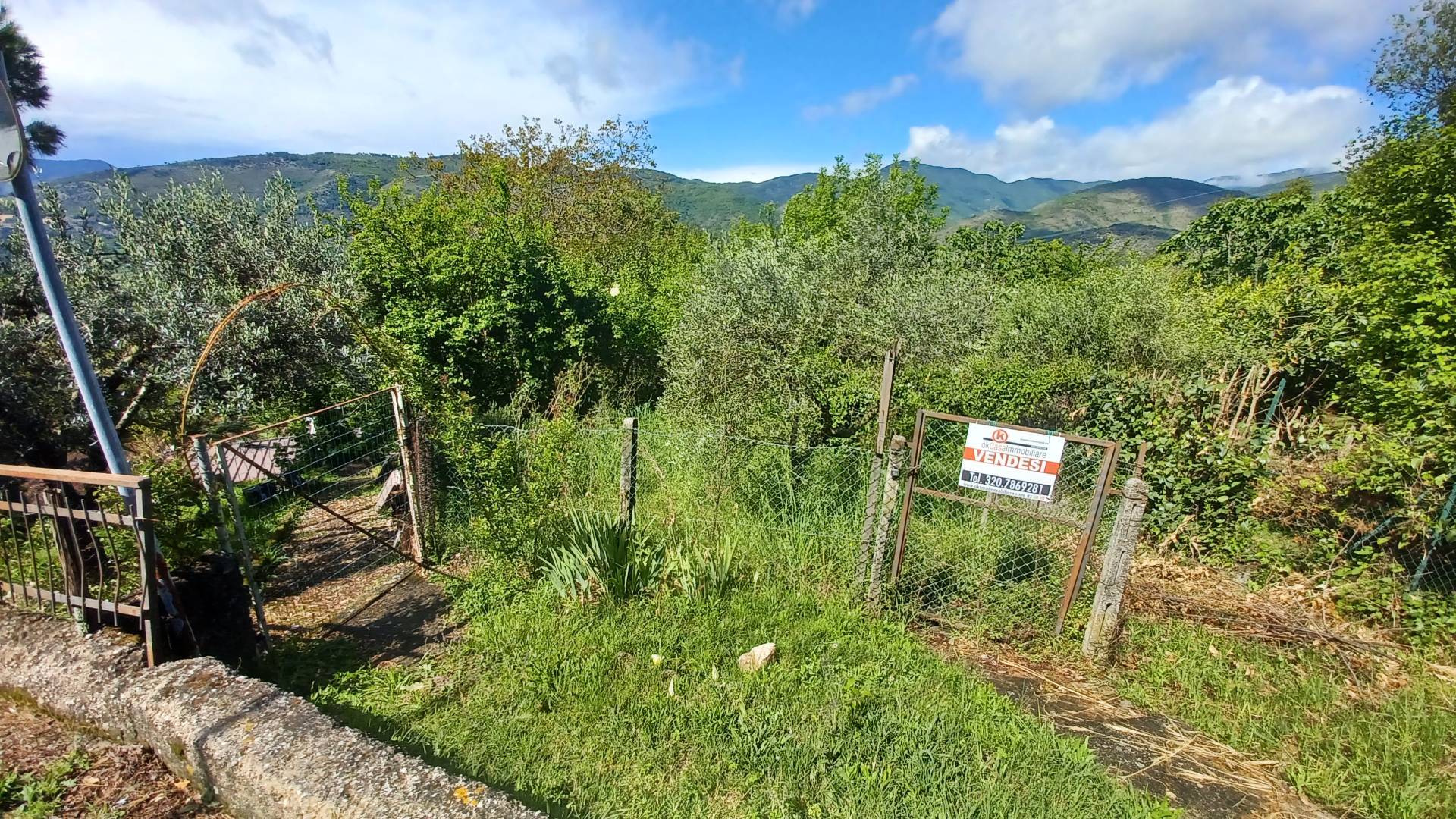 Terreno agricolo in vendita a Giuliano Di Roma (FR)