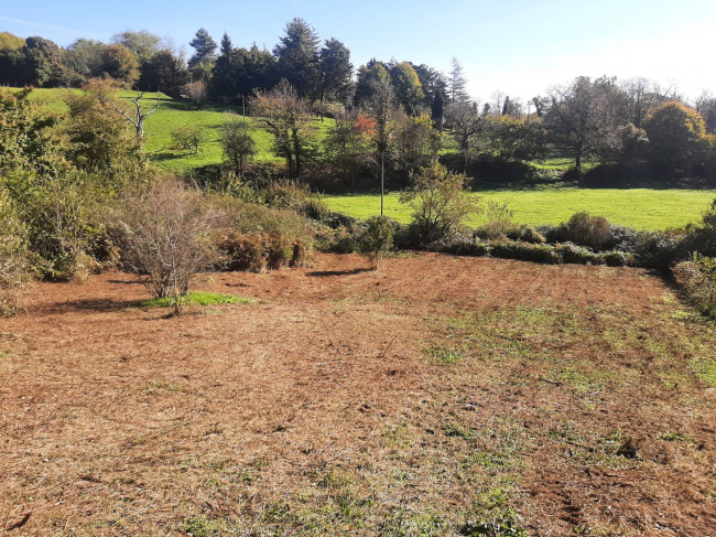 Terreno agricolo in vendita a Fiuggi (FR)