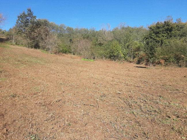 Terreno agricolo in vendita a Fiuggi (FR)