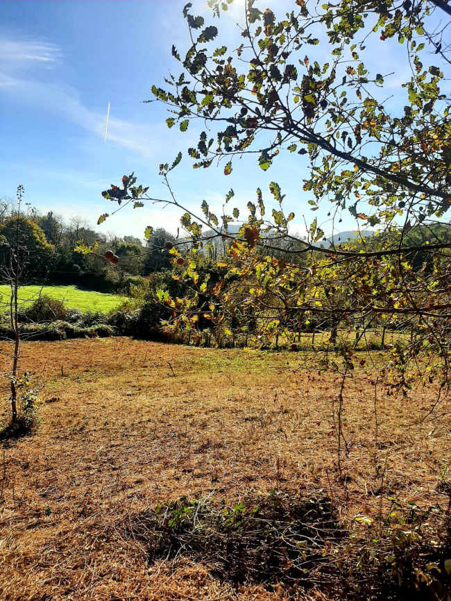 Terreno agricolo in vendita a Fiuggi (FR)