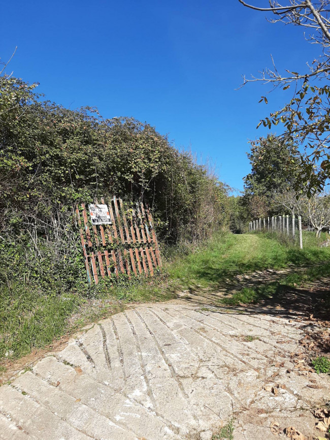 Terreno agricolo in vendita a Fiuggi (FR)