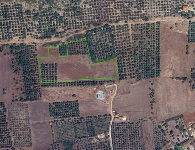 Terreno Agricolo in Vendita a Priverno