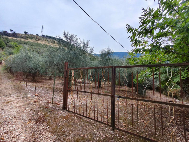 Terreno Agricolo in Vendita a Maenza