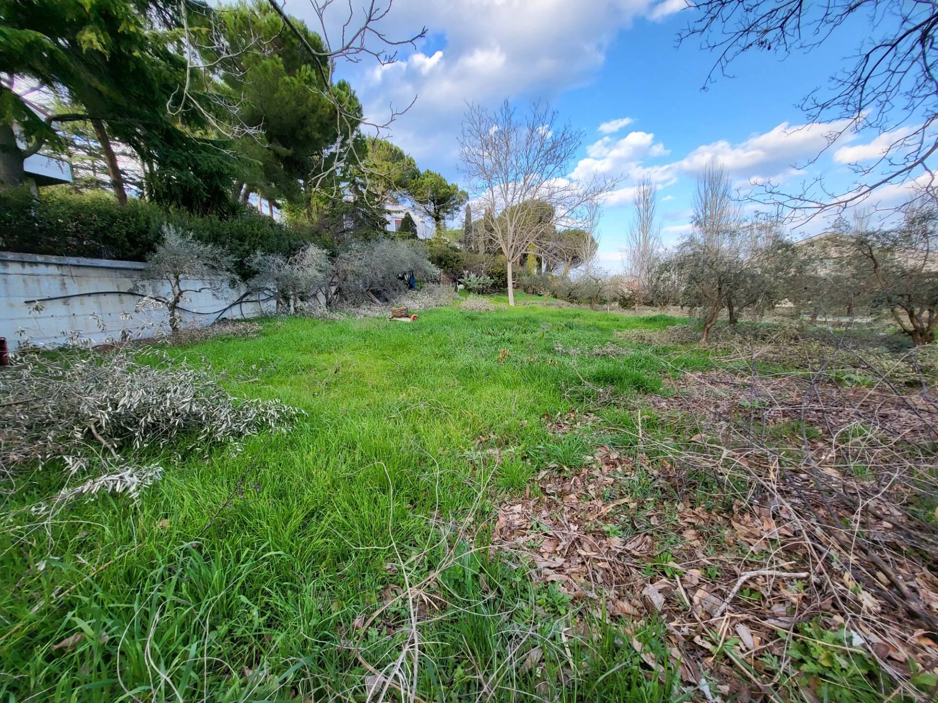 Terreno edificabile in vendita a Città Sant'angelo (PE)