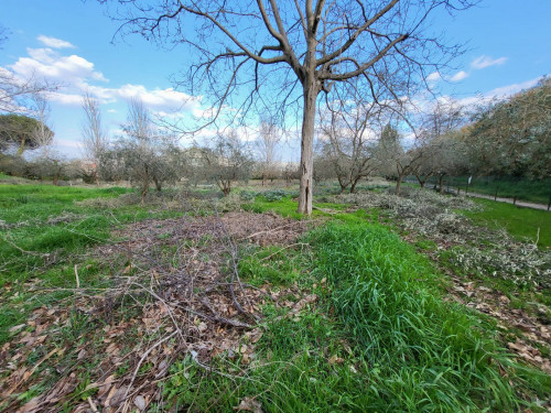 Terreno edificabile in vendita a Città Sant'angelo (PE)