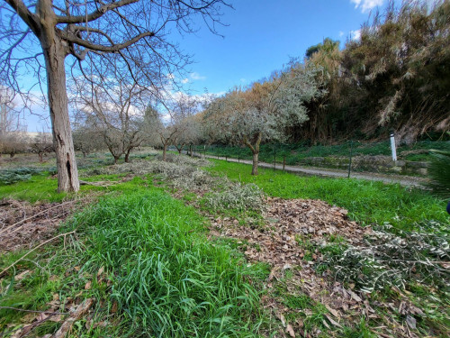 Terreno edificabile in vendita a Città Sant'angelo (PE)