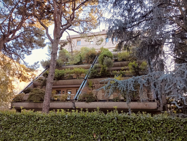 Appartamento in Vendita