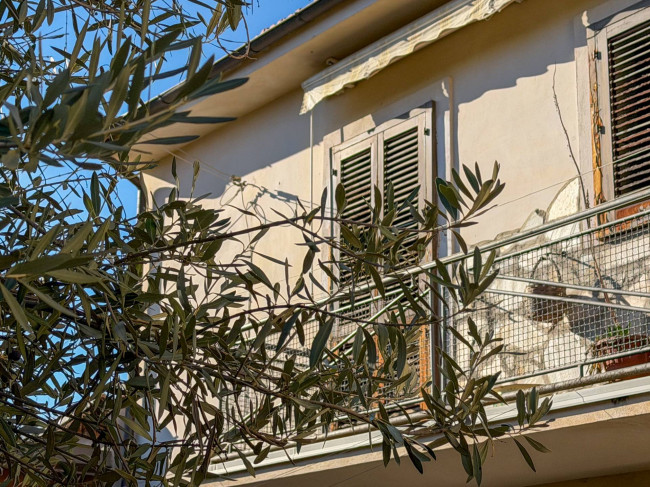 <span>Sulmona</span>