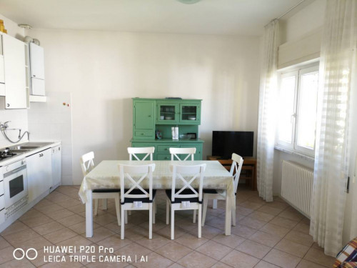 Appartamento in Affitto a Massa