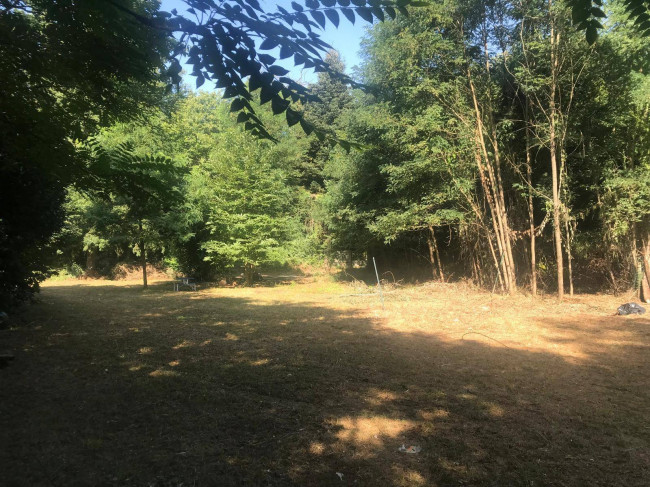 Terreno Agricolo in Vendita a Villafranca in Lunigiana