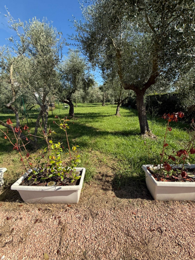 casa semindipendente in Affitto a Montignoso