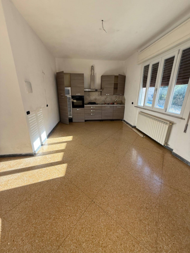 Appartamento in Affitto a Montignoso