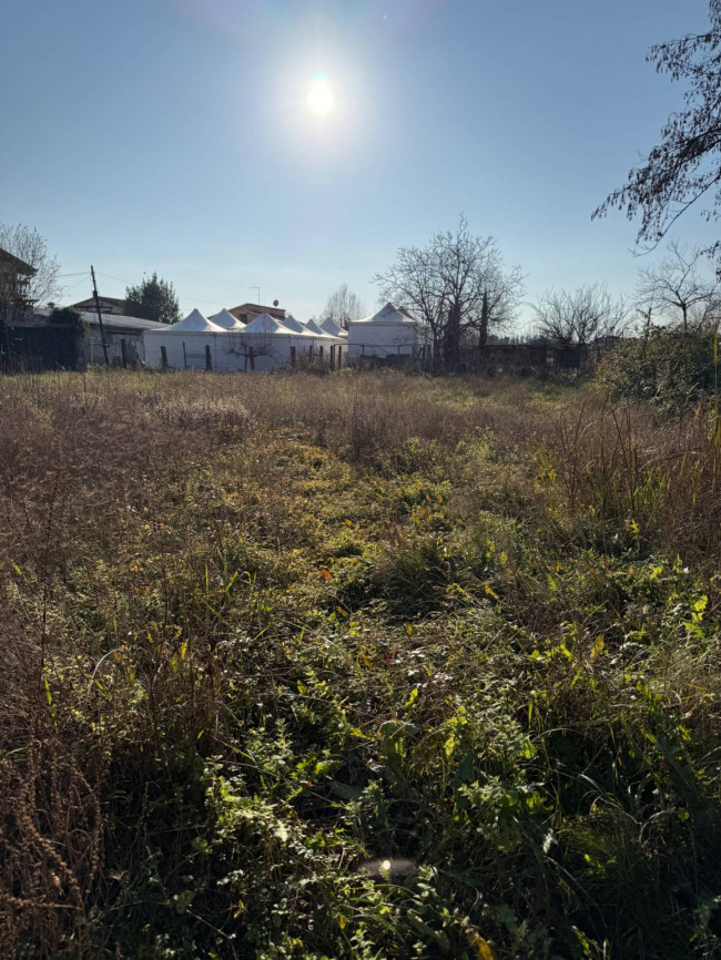 Terreno Agricolo in Vendita a Massa