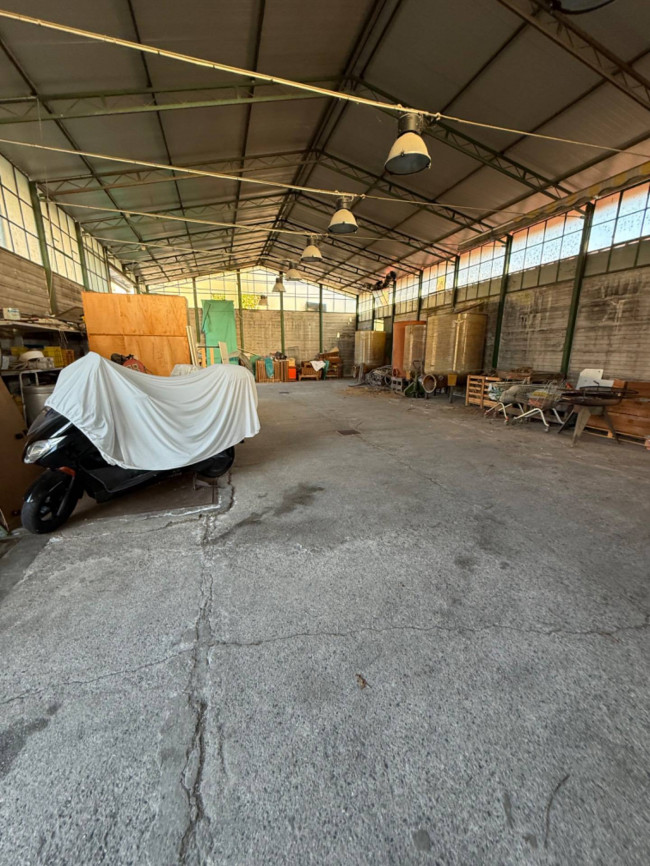 Capannone in Affitto a Massa