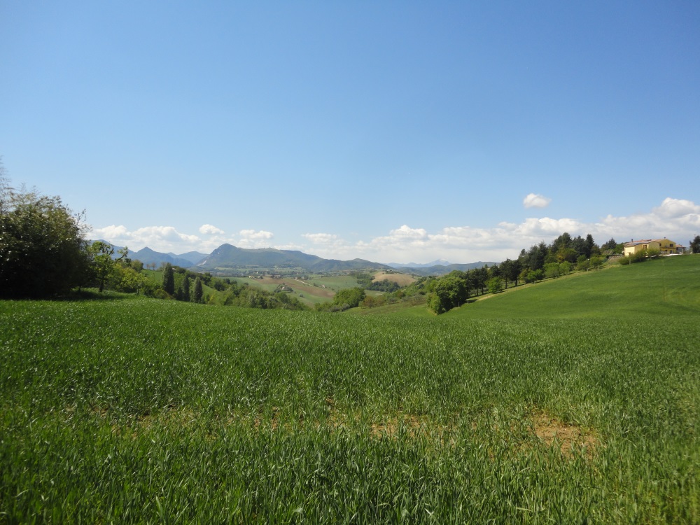 Terreno agricolo in vendita a Poggio San Marcello (AN)