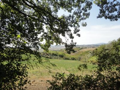 Terreno agricolo in vendita a Serra De' Conti (AN)