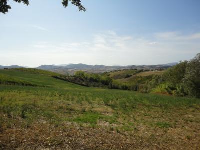 Terreno agricolo in vendita a Serra De' Conti (AN)