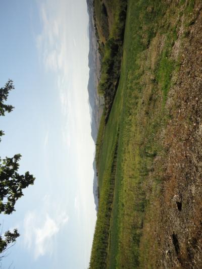 Terreno agricolo in vendita a Serra De' Conti (AN)