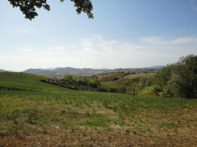 Terreno agricolo in vendita a Serra De' Conti (AN)