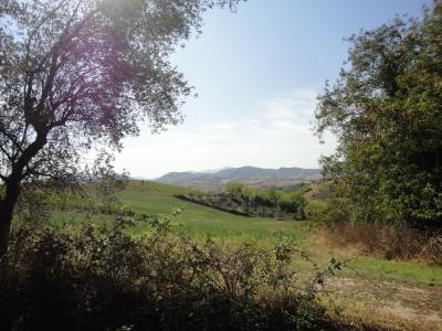 Terreno agricolo in vendita a Serra De' Conti (AN)