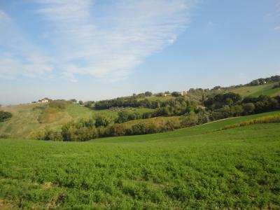 Terreno agricolo in vendita a Serra De' Conti (AN)