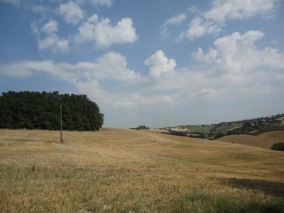 Villa in vendita a Belvedere Ostrense (AN)