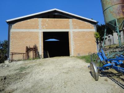 Azienda agricola in vendita a Cingoli (MC)