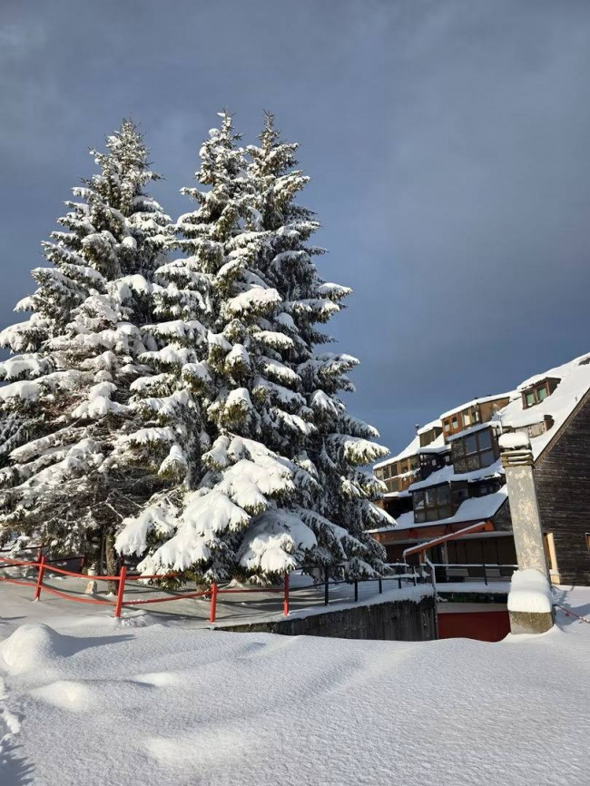 Bosco Chiesanuova Appartamento