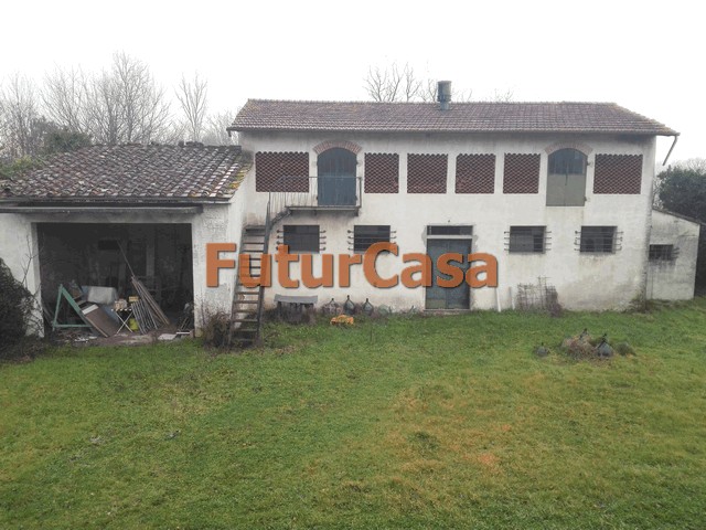 rustico - cascina castelfranco di sotto vendita  orentano  immobiliare futurcasa