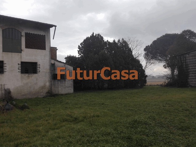 Rustico - Cascina CASTELFRANCO DI SOTTO vendita  Orentano  Immobiliare FuturCasa