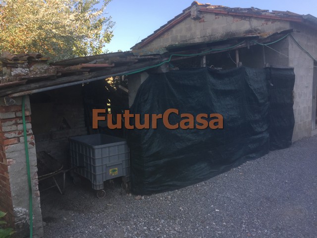 Villa Unifamiliare - Indipendente MONTECARLO vendita  San Salvatore  Immobiliare FuturCasa