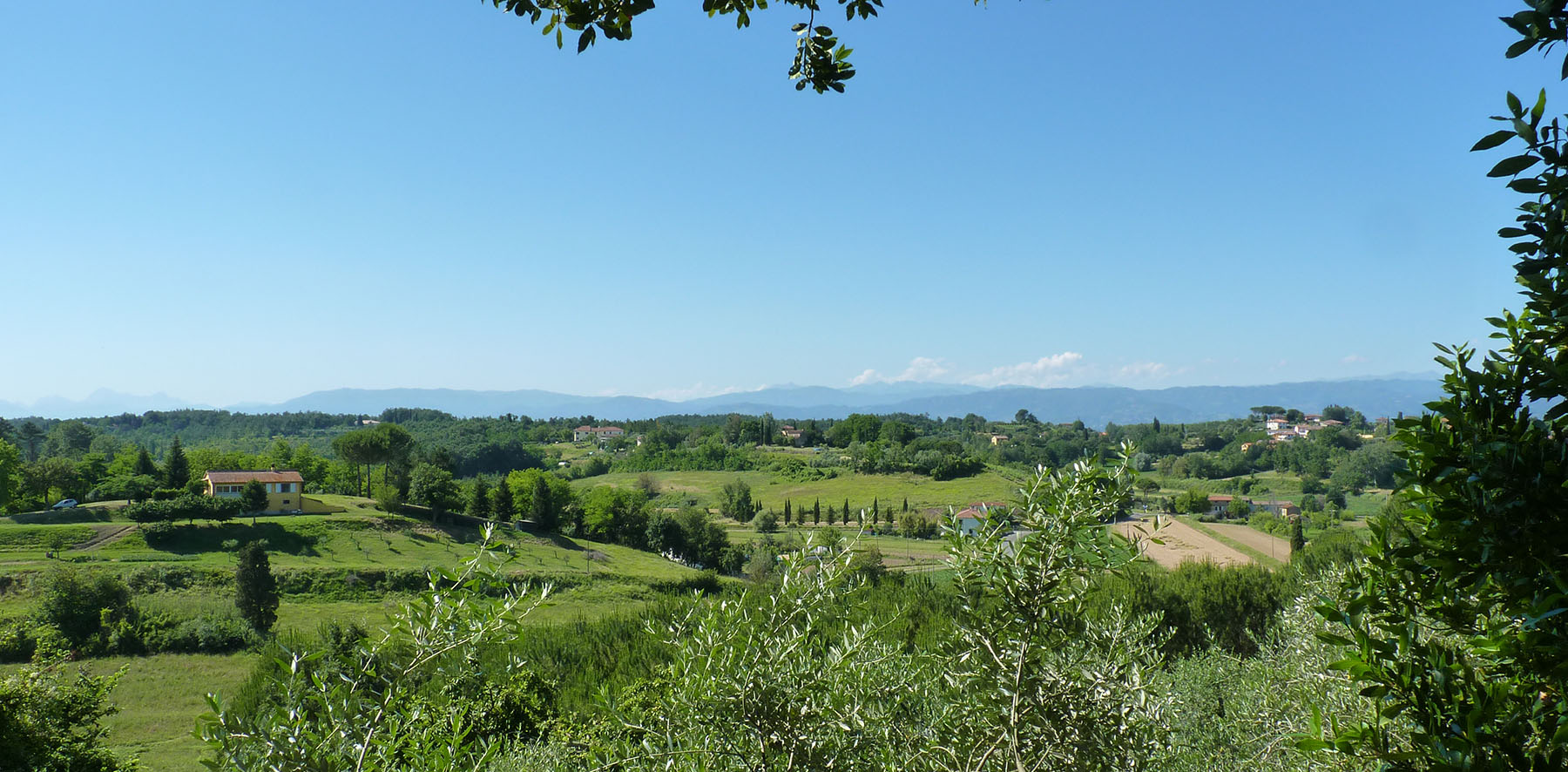  fucecchio vendita quart: querce immobiliare-futurcasa