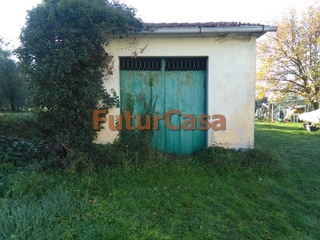 Villa Unifamiliare - Indipendente CASTELFRANCO DI SOTTO vendita  Orentano  Immobiliare FuturCasa