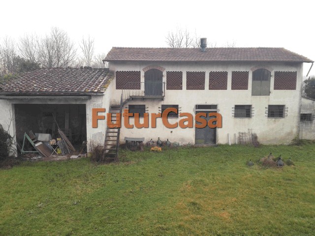 Rustico - Cascina CASTELFRANCO DI SOTTO vendita  Orentano  Immobiliare FuturCasa