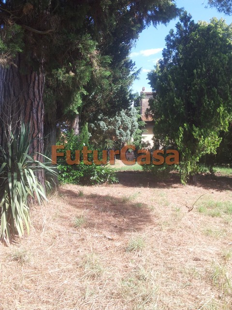 Villa CASTELFRANCO DI SOTTO vendita  Galleno  Immobiliare FuturCasa