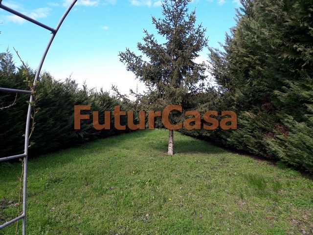 altopascio vendita quart: spianate immobiliare futurcasa