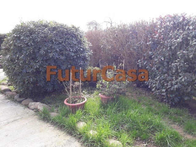 Villa Unifamiliare - Indipendente ALTOPASCIO vendita  Spianate  Immobiliare FuturCasa