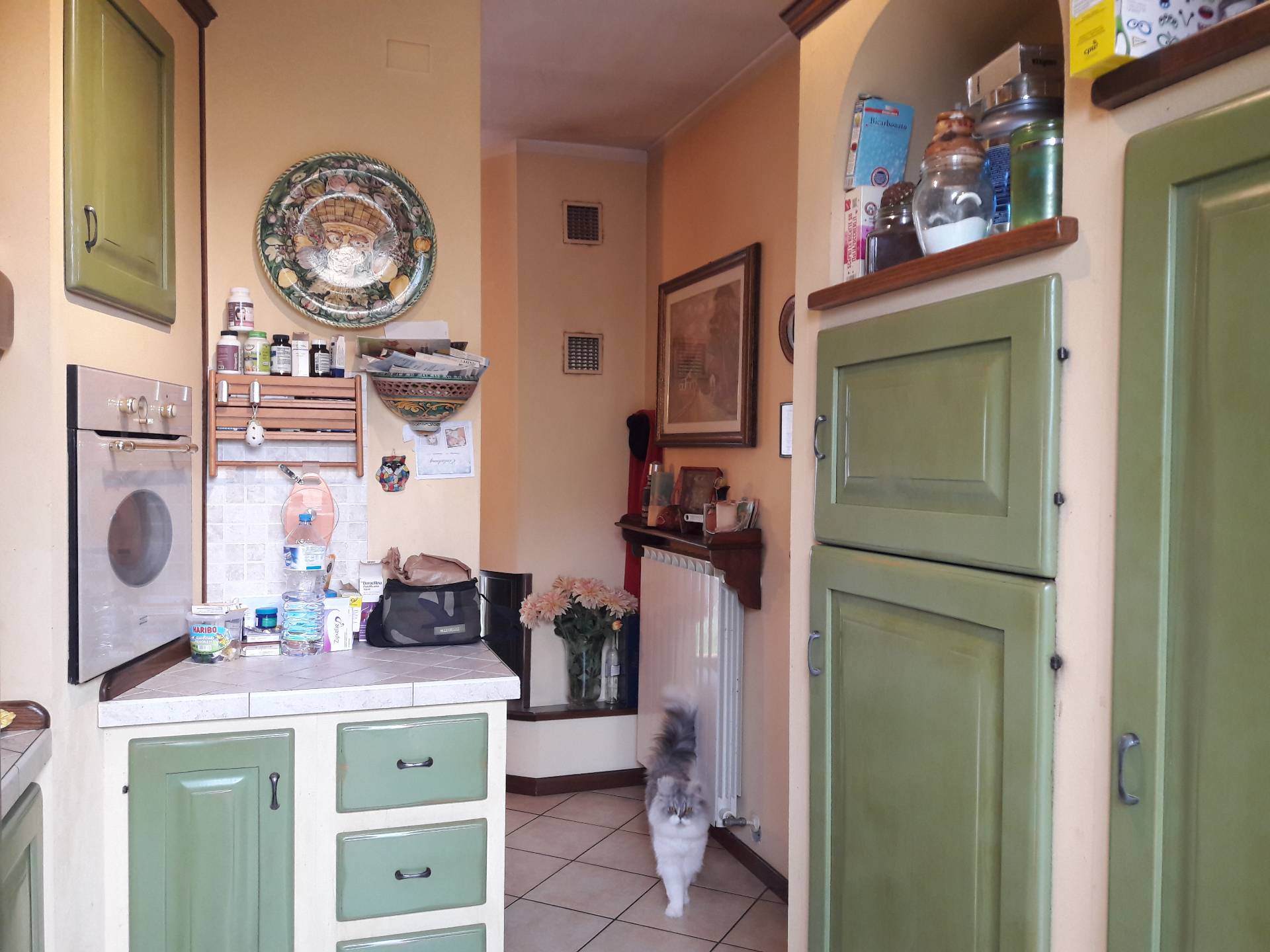 Villa Unifamiliare - Indipendente PORCARI vendita    Immobiliare FuturCasa