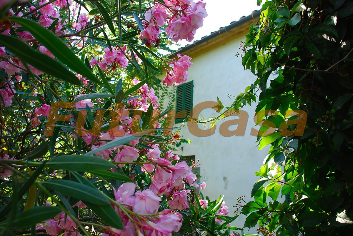  altopascio vendita quart: spianate immobiliare futurcasa