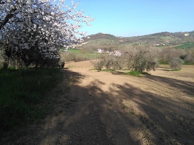 Terreno edificabile in vendita a Floriano, Campli (TE)