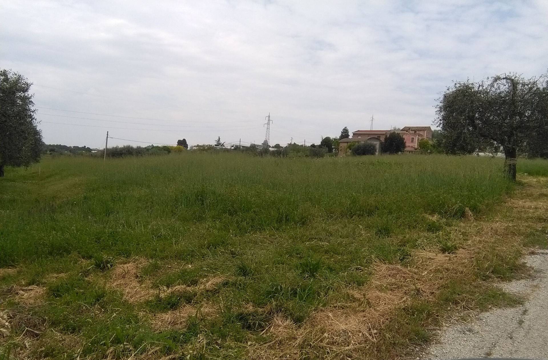 Terreno edificabile in vendita a Tortoreto (TE)
