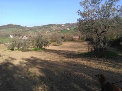 Terreno edificabile in vendita a Floriano, Campli (TE)