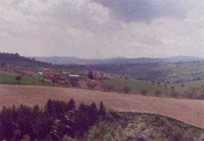 Terreno Agricolo in Vendita a Bellante