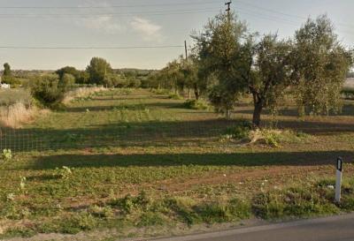 Terreno Agricolo in Vendita a Giulianova