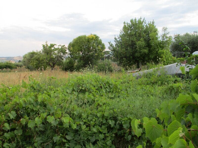 Terreno residenziale in Vendita a Giulianova