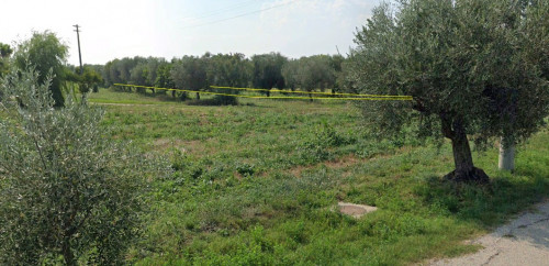 Terreno Agricolo in Vendita a Mosciano Sant'Angelo
