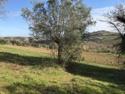 Rustico in vendita a Ponzano, Civitella Del Tronto (TE)